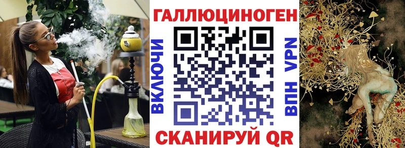 где купить наркоту  Чегем  Псилоцибиновые грибы мухоморы 